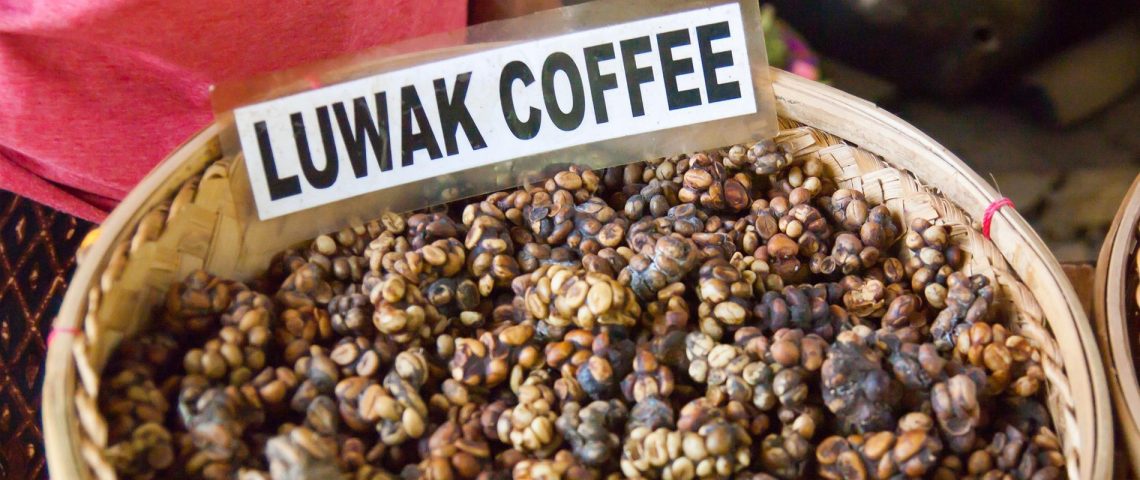 Quel est le café le plus cher du monde ?