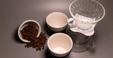 café arabica et robusta