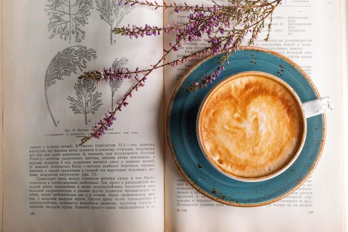 tasse de café sur un livre avec une plante