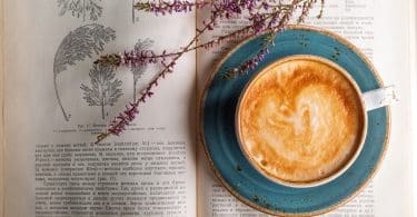 tasse de café sur un livre avec une plante