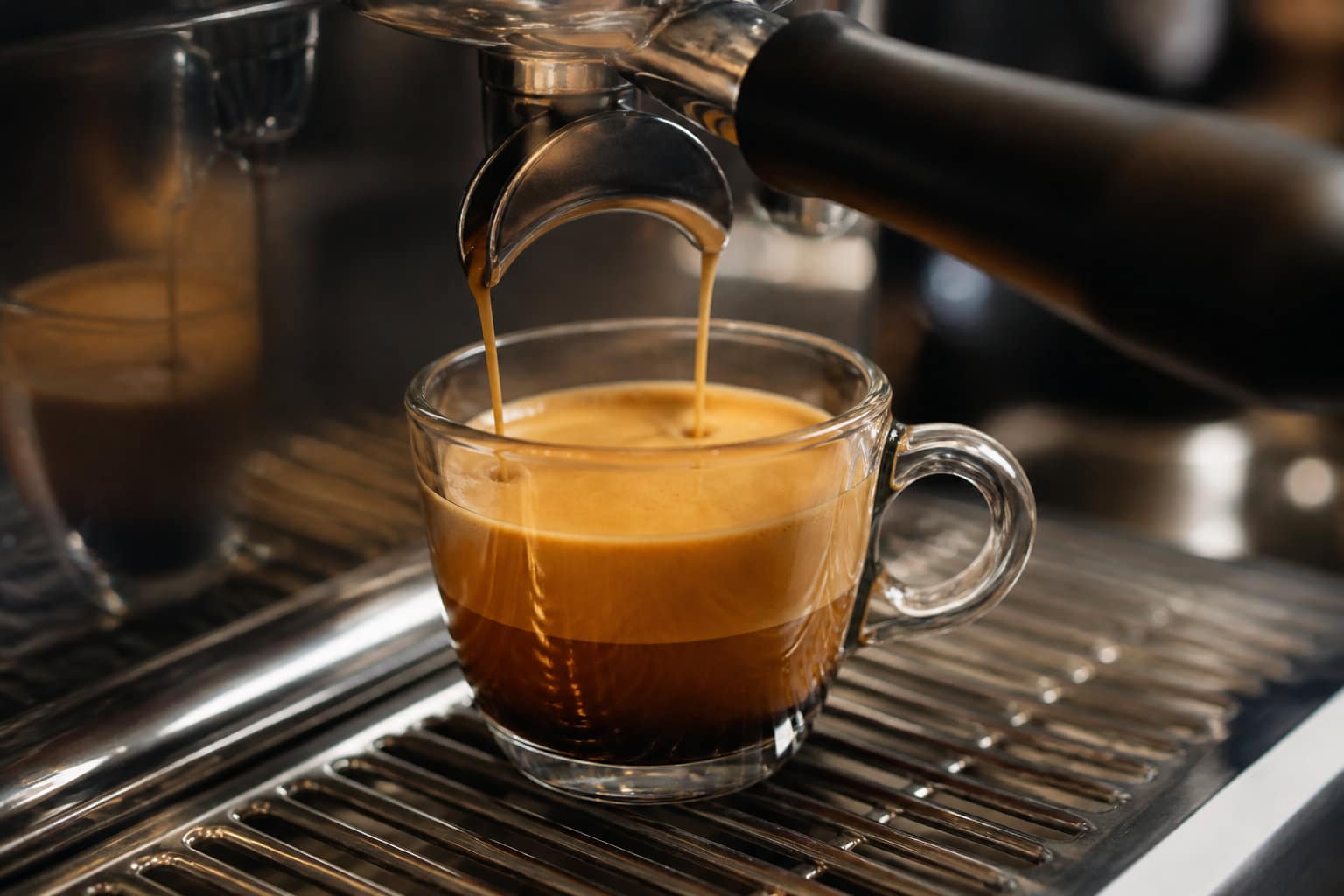 Qualité en tasse et performance du système lacté