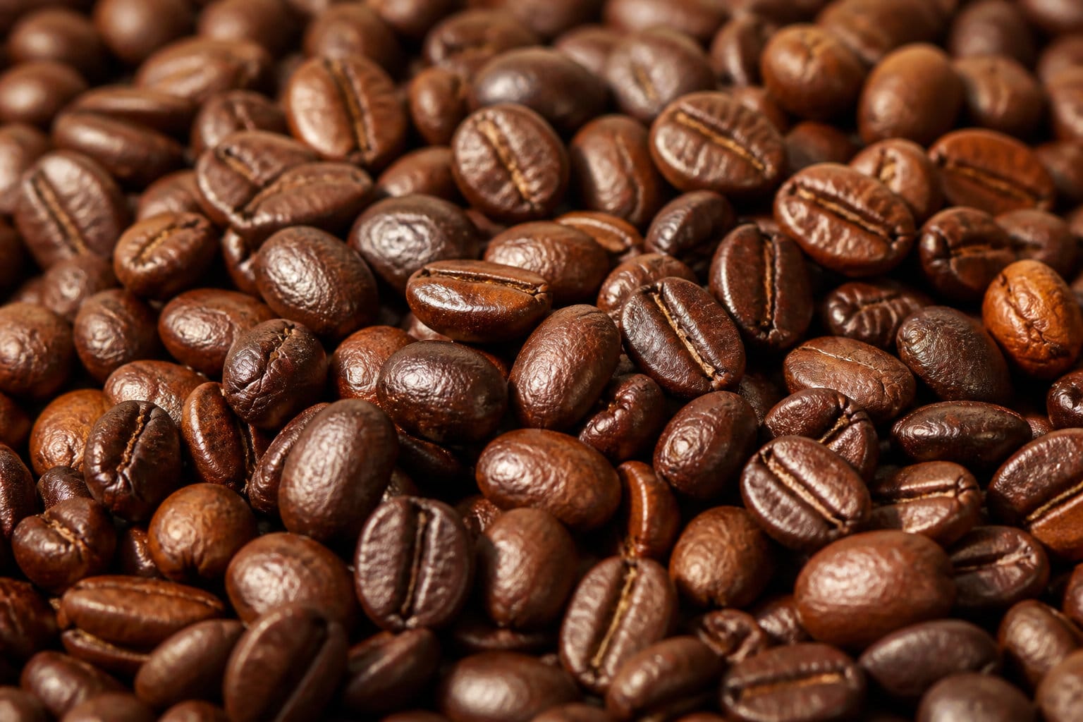 Pourquoi la conservation café grain vs moulu impacte-t-elle votre dégustation ?