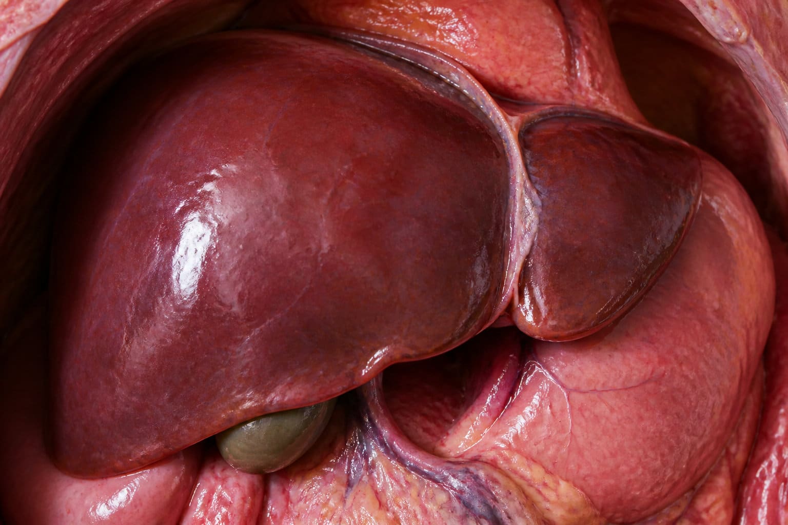 3 facteurs biologiques qui influencent votre tol&eacute;rance &agrave; l'excitation