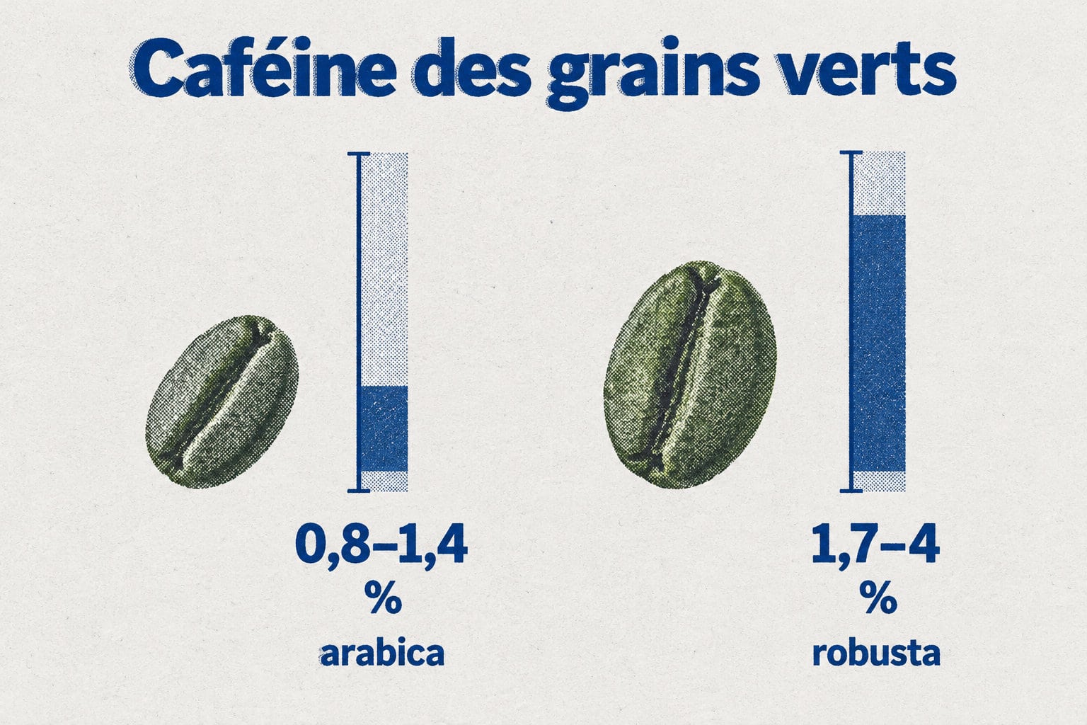 Les grains verts d’arabica contiennent entre 0,8 et 1,4 % de caféine, contre 1,7 à 4 % pour le robusta.